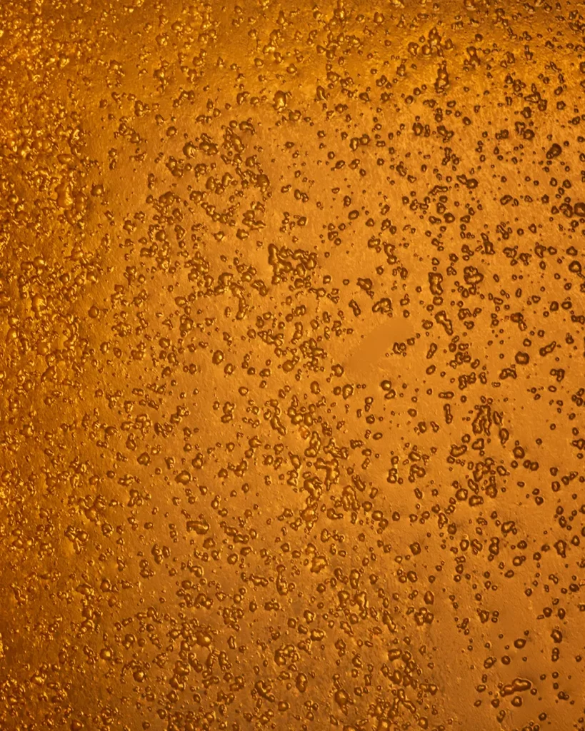 Mère de vinaigre petit manseng vinaigre de vin blanc doux